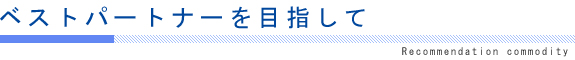 一歩先を行く太陽光発電